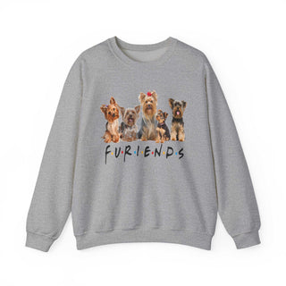 Fur-iends Dog Hoodie sweatshirt size guide with product features and care instructions