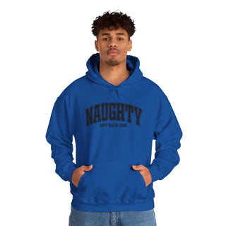Naughty But Nice-ish hoodie sweatshirt in cotton-polyester blend with adjustable hood and kangaroo pocket