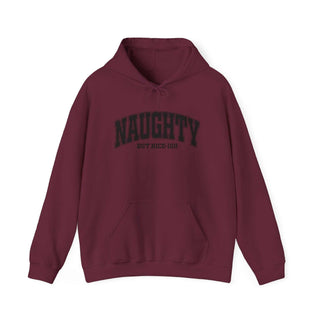 Naughty But Nice-ish Hoodie sweatshirt with adjustable hood and kangaroo pocket, cozy cotton-poly blend, casual adult wear.